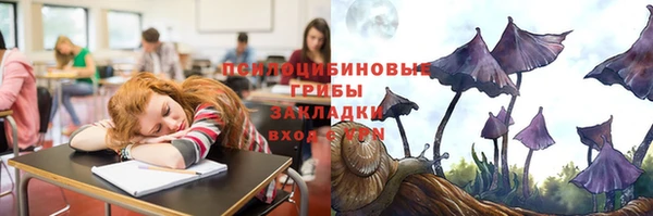 ПСИЛОЦИБИНОВЫЕ ГРИБЫ Алексин