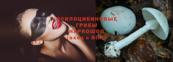 шишки Нефтегорск
