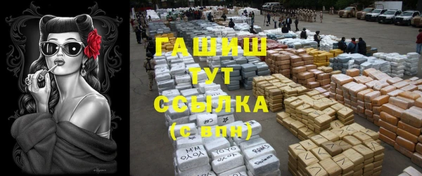 хмурый Алексеевка
