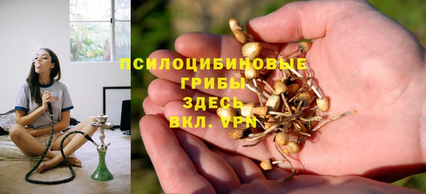 хмурый Алексеевка