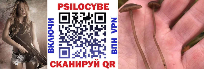 Галлюциногенные грибы GOLDEN TEACHER  где купить наркотик  Алексеевка 